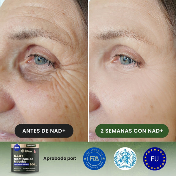 ¡Activa tu NAD+ y recupera la energia, vitalidad y claridad mental que tenías a los 20!