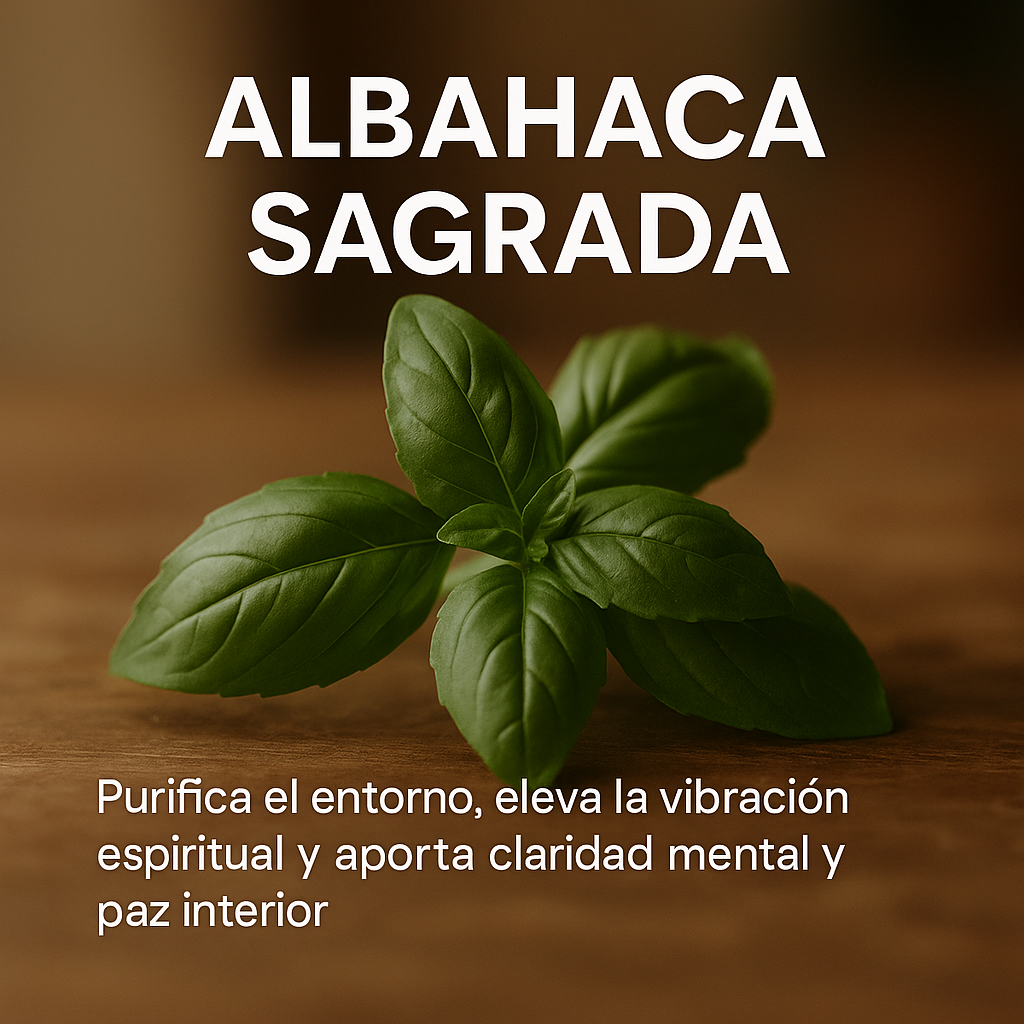 Expansión y Prosperidad - ABUNDANCE RITUAL